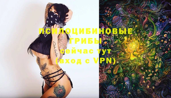соль ск Алексин