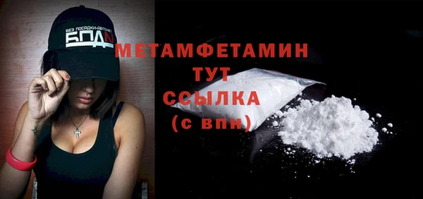 индика Сатка