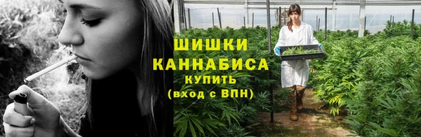 шишки Алзамай