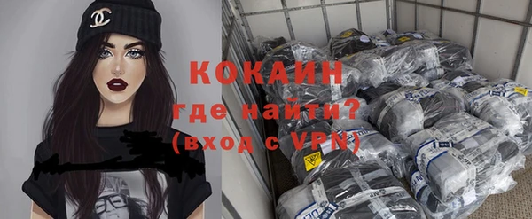 соль ск Алексин