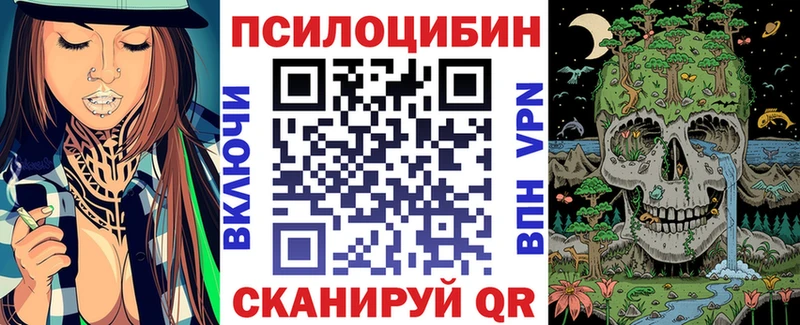 Псилоцибиновые грибы мухоморы  даркнет сайт  Кола 
